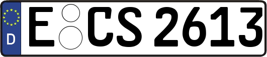 E-CS2613