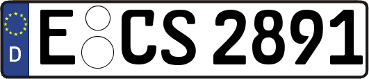 E-CS2891
