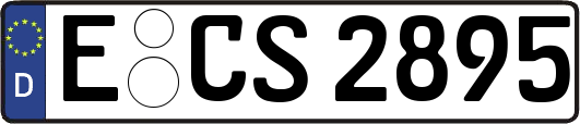 E-CS2895