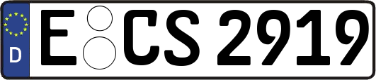 E-CS2919