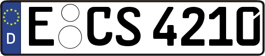 E-CS4210