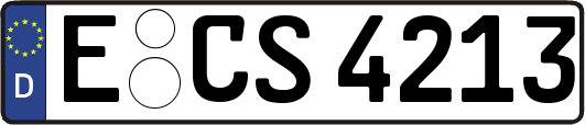 E-CS4213