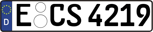 E-CS4219