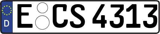 E-CS4313