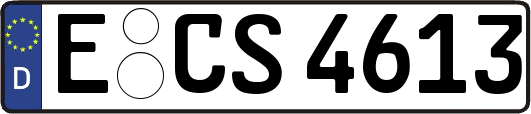 E-CS4613