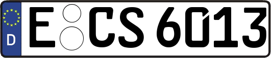E-CS6013