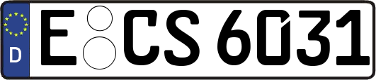 E-CS6031
