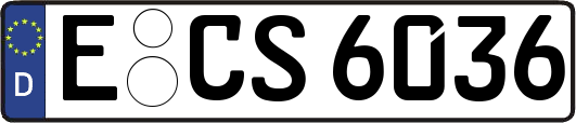 E-CS6036