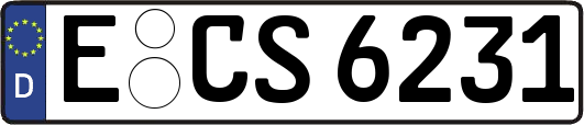 E-CS6231