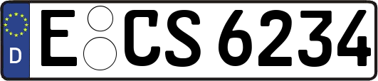 E-CS6234