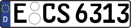 E-CS6313