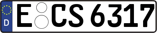 E-CS6317