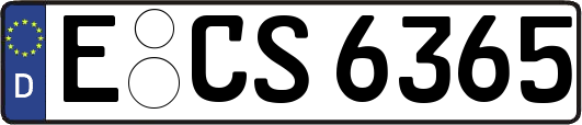 E-CS6365