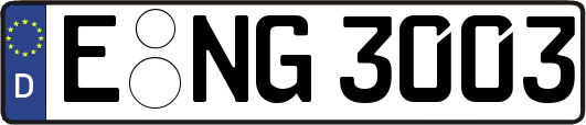 E-NG3003
