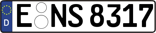 E-NS8317