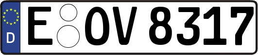 E-OV8317