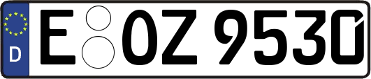 E-OZ9530