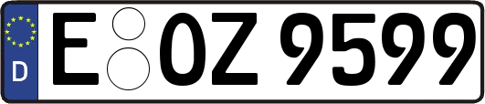 E-OZ9599