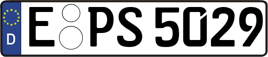 E-PS5029