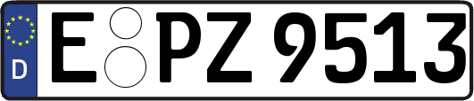E-PZ9513