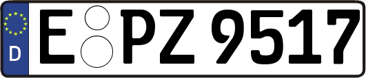 E-PZ9517
