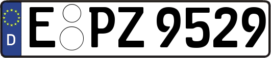 E-PZ9529