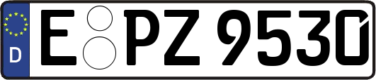E-PZ9530