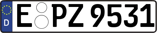 E-PZ9531