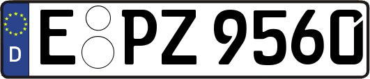 E-PZ9560
