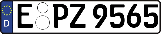 E-PZ9565