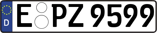 E-PZ9599