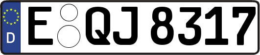 E-QJ8317