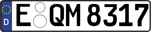 E-QM8317