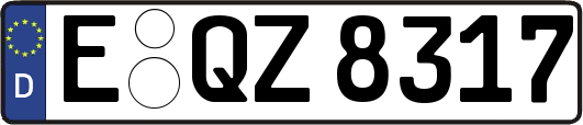 E-QZ8317