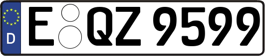 E-QZ9599