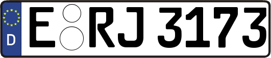 E-RJ3173