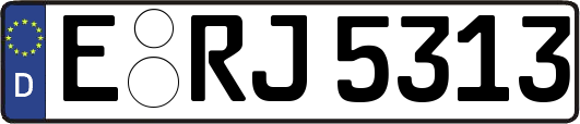 E-RJ5313