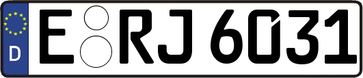 E-RJ6031