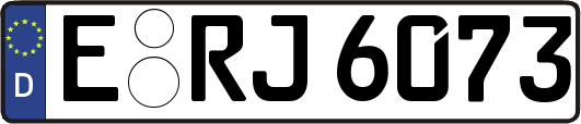E-RJ6073
