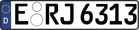 E-RJ6313
