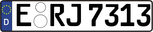 E-RJ7313