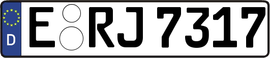 E-RJ7317