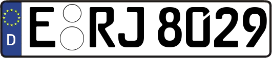E-RJ8029