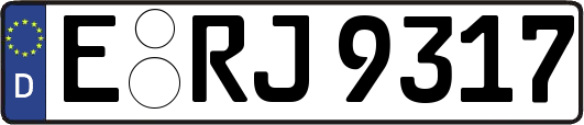 E-RJ9317