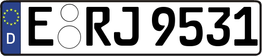 E-RJ9531
