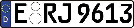 E-RJ9613