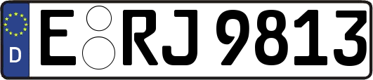 E-RJ9813