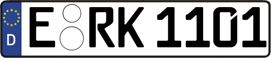 E-RK1101