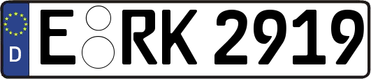 E-RK2919