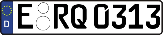 E-RQ0313